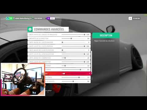 Forza Horizon 4 | Meilleurs réglages volant TX/T300RS !