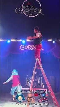 The Clowns at Circus Cortex, Clowning around at height #shorts