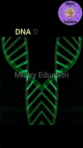 DNA Double Helix EXPLAINED in 5 Minutes