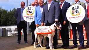 The 2024 Bar One Racing Irish Laurels, in partnership with Friends &...