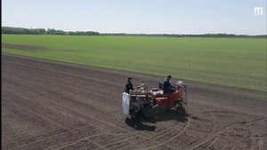 En gammel såmaskine bliver brugt til såning sf markerne til Græsland 2025. Se hele videoen via linket i kommentarerne 👇 | Maskinbladet