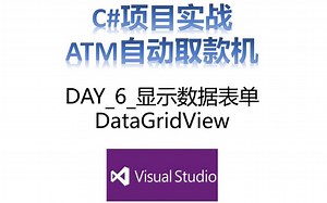 DAY_6_显示数据表单DataGridView