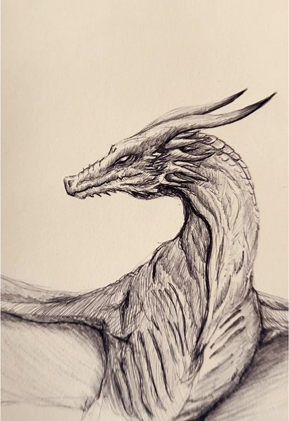 Drawing Techniques with Pens for Carefree Art