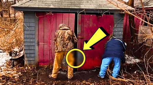 Inside the Abandoned Shed: The Hidden Story Its Owner Took to the Grave