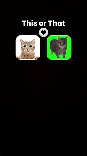 OIIA OIIA ATTACK #oiiaoiiacat #cats #oiiaoiia #funny #roblox #cats #catsonmyfyp #urfypisnotgonnaheal