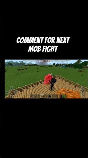 Minecraft mob fight Iron golam vs Nether Skeleton Comment for next mob fight