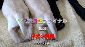 ExcelでSQLを使う-022 ソース公開-06 DLookup関数（Excel To Excel）