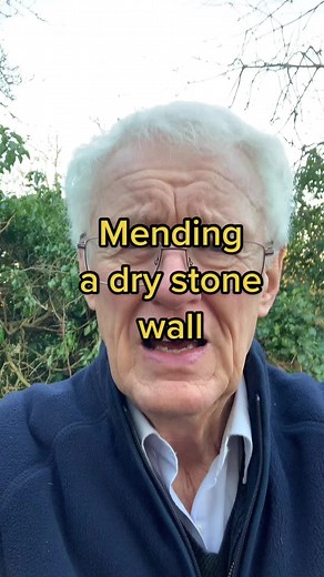 Repairing a Dry Stone Wall: Step-by-Step Guide