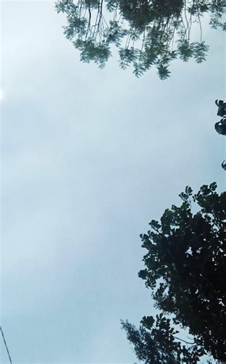 Creative Ways to Hang Clothes Outside