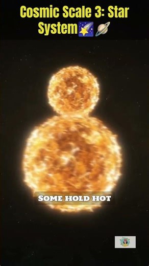 Cosmic Scale 3: What a Star System Really Is