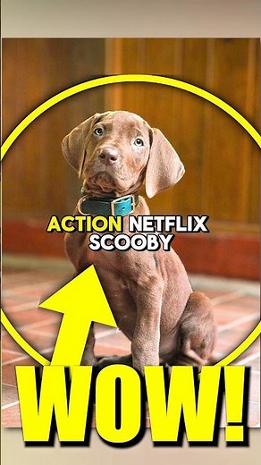 FIRST LOOK AT SCOOBY DOO IN LIVE ACTION NETFLIX SERIES! 👀