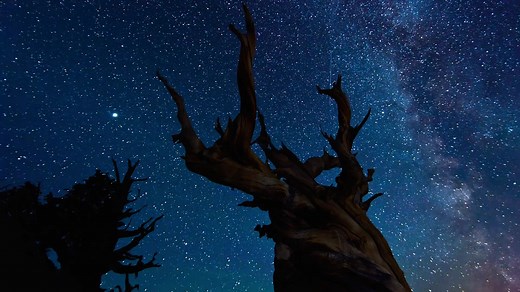 【4K蓝光/国家地理】时间的风景