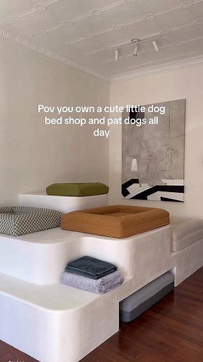 Barney Boutique - Your Dream Dog Bed Shop in Paddington Sydney