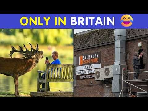 Crazy British Daily Pics That Are Too Funny to Miss 😂