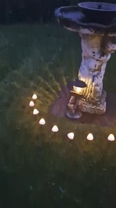 The prettiest garden solor lights . These are absolutely beautiful😍 | Swally Walton Family