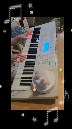 翼をください 簡単ピアノ