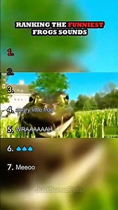 Frog sound #trending #trendingshorts #funny #frog #memes ‪@crazyfrog‬