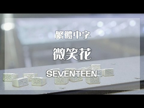 [中字/SEVENTEEN]微笑花웃음꽂(Smile Flower)MV