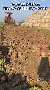 15K views · 68 reactions | Auto Farming LR Seed | Dharampreet Bajwa | Facebook