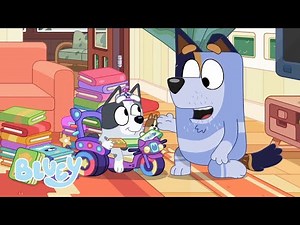 La bibliothèque | Bluey Français Chaîne Officielle