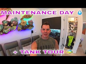 Sunday Reef Routine 🌊 | Full Aquarium Tour + Maintenance Day Walkthrough