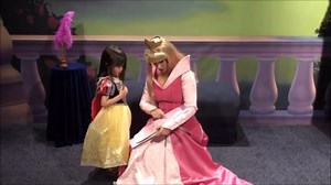 Meeting Disney Princesses at Walt Disney World