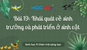 Sinh học 11 Chân trời sáng tạo Bài 19: Khái quát về sinh trưởng và phát triển ở sinh vật