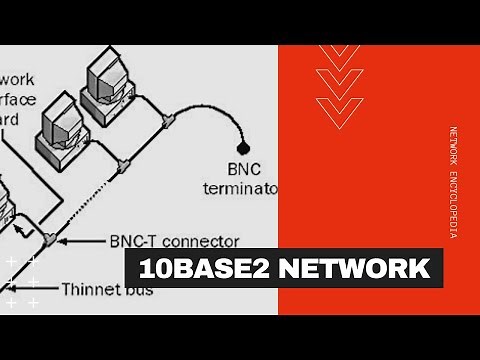 What is a 10Base2 Network - Network Encyclopedia
