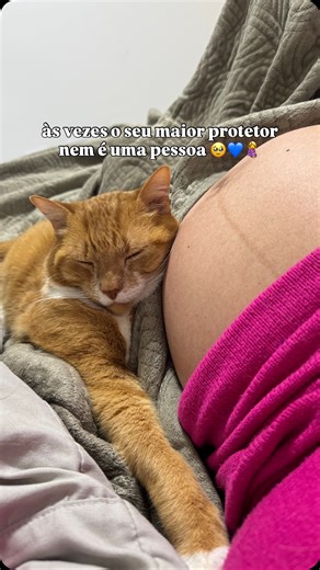 Juliana Molino on Instagram: "meu primeiro bebê percebendo que estou grávida 🥹💙 *11 anos desse Lenine que não finge ter paciência . #gravida #gemeos #gato #catdad #animais #catlover #explore #viralreels"