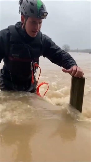 #animalrescue Rescuer Saves Tiny Mouse Trapped in Flood Water 🐭🌊 | Heartwarming Rescue