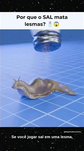 Why does SALT destroy slugs? 🧂😱