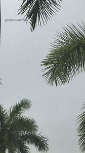 #Clima #Colima | Se presentan lluvias en la zona norte de los municipios de Colima y Villa de Álvarez. | VIVO Noticias Colima
