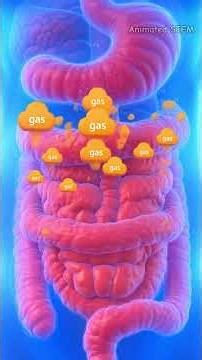 The Hidden Reason Your Belly Puffs Up After Eating #health #digestion