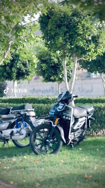 C50 190cc Engine Performance Review