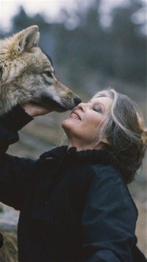 Virginie Boutaud - Vue biotifull on Instagram: "Obrigada por tudo, obrigada por nos mostrar que precisamos agir, ao nosso nível, e que precisamos estar atentx, ativas e ativos contra TODAS as formas de DISCRIMINAÇÃO. Meu primeiro modelo de ativismo na proteção animal, um modelo de mulher que se recusa a ser um objeto sexual, que envelhece como envelhece, que assume suas opiniões e que também pode se enganar, porque nunca deixamos de evoluir e de ser atrizes e atores das mudanças inevitáveis, pro