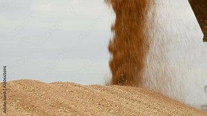Close-up of a steady stream of wheat grain waking up into a large open-air mound. Bread production and wheat extraction. Harvesting grain crops. Wheat sifting cleaning