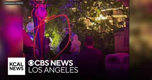 Tree topples onto Disneyland visitors during winter storm