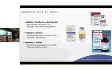 Antibody Drug Conjugates：ADC — State of the Art, Trends, Challenges,ADC药物 2017年