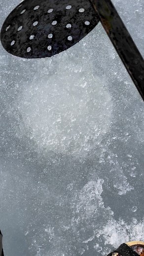 272K views · 1.5K reactions | Rusty 籠 | MikeyShamrocks | Facebook