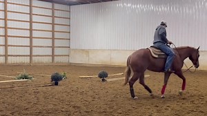 Hey Sara ✨ Feta had a great Congress bringing home $2,400 in the 2 Year Old Coughlin Auto Western Pleasure Futurity. We sure are excited add trail to her resume next year!! 😍 ••Proudly owned by Dan and Trina Fisher-Lowery | Yoder Performance Horses