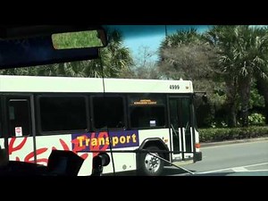 Walt Disney World Bus Ride: Hollywood Studios - Art of Animation Resort (Nova #4953)