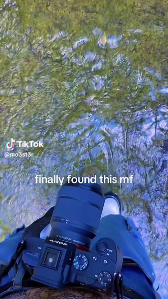 Extrañas Sonidos en el Túnel de Austin