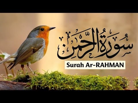 🌙 Surah Ar-Rahman | Heart Touching Recitation | Peace & Blessings of Allah