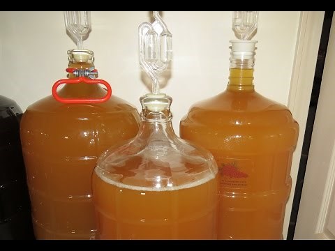 Making Hard Apple Cider Part 2