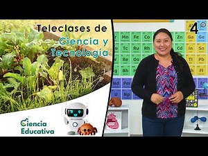 I learn to produce food | Science and Technology Teleclasses 4th Grade