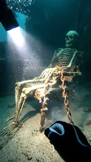 How did this happen?