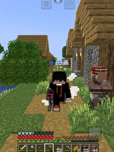 Exploring Subtle Effects in Minecraft