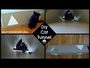Diy Cat Tunnel Made from Cardboard or Backerboard