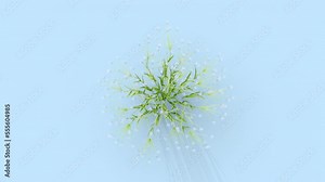 Dietes plant growing from a small plant to an adult. 3d rendering with alpha channel. Camera from a high angle