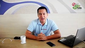 DV BOER FARM BREEDING PROGRAM - REPLAY For those who missed out our fb live regarding rabbit and chicken satellite farming, this is the replay which tackles all the how to's in starting the breeding program. | Dv Boer